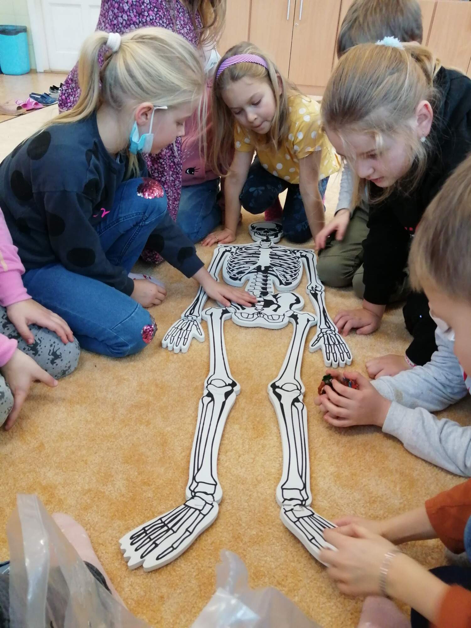 Naše tělo