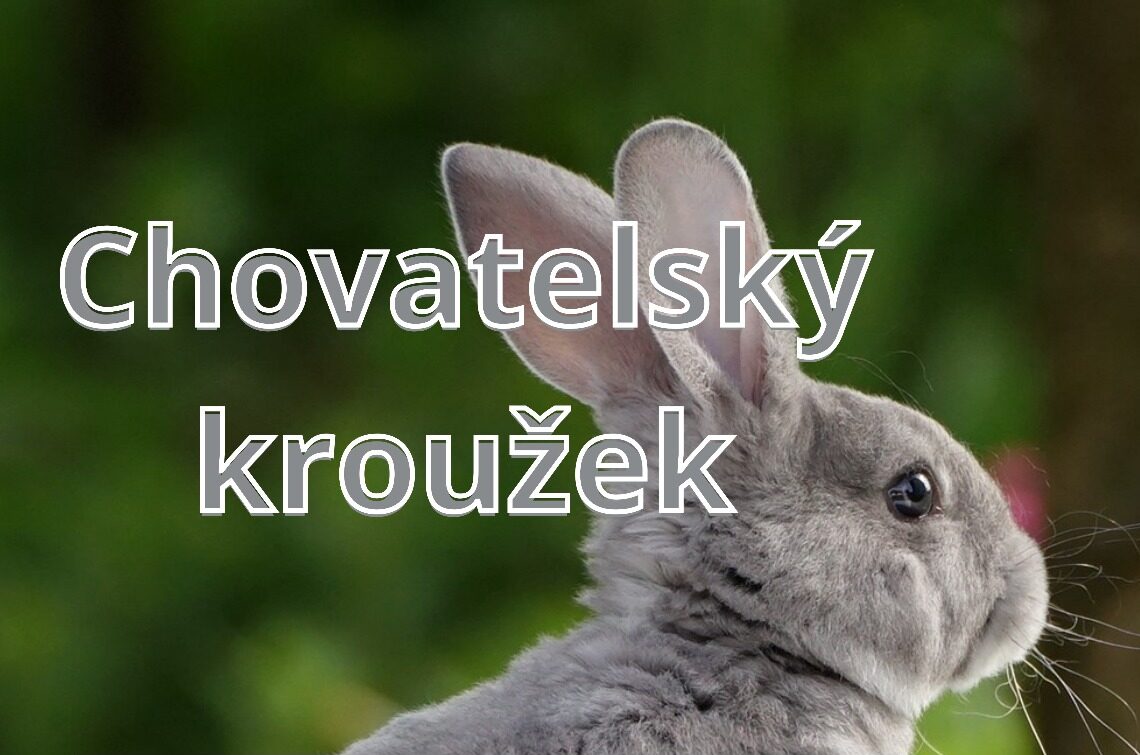 Chovatelský kroužek u nás ve škole