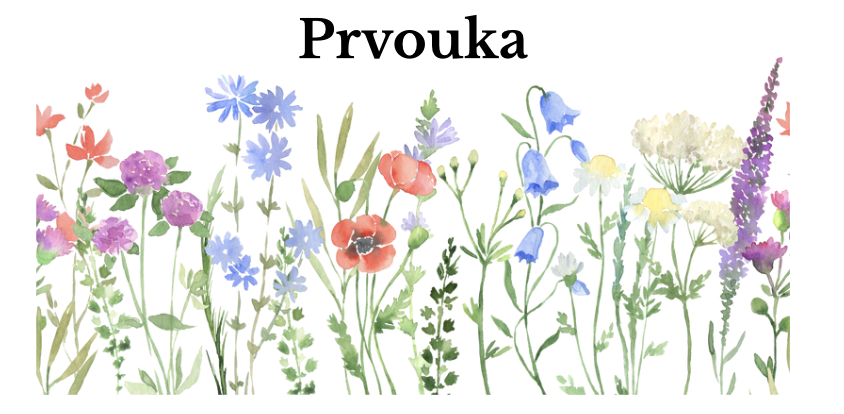 Prvouka